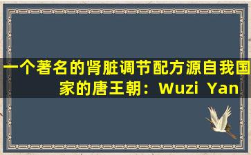 一个著名的肾脏调节配方源自我国家的唐王朝：Wuzi  Yanzong  Wan！
